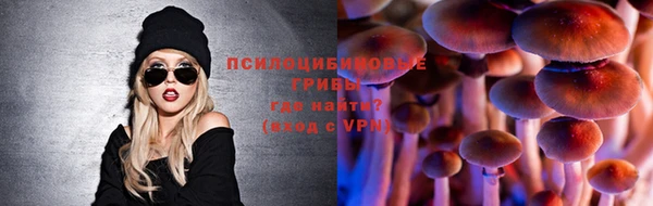 прущий лед Кукмор