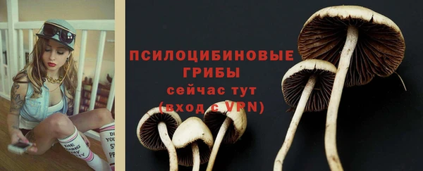 jwh Козловка