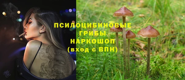 ешки Красноперекопск