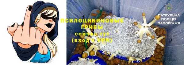 ешки Красноперекопск